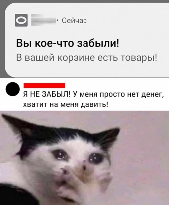 Мэмы. 3 часть 
