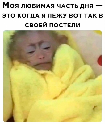 Шуточки и мемы для вас. 12 часть