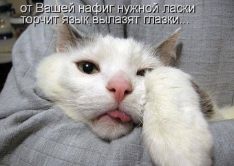 Cмешные картинки про самых разных зверей и животных