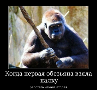 Осторожно, обезьянки - смешные демотиваторы про обезьян