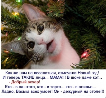 Расскажу вам анекдот, про волшебный Новый год
