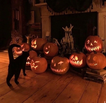 Эстетика праздника Хэллоуин 👻 