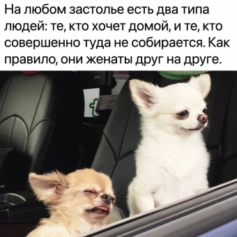 Мэмы. 1 часть