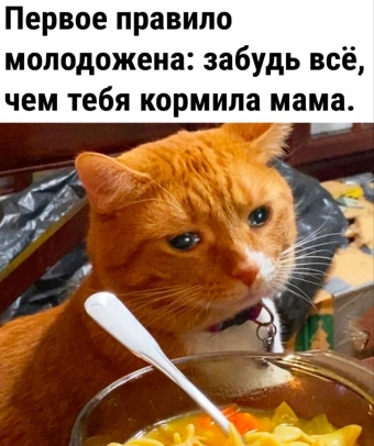 Шуточки и мемы для вас. 5 часть