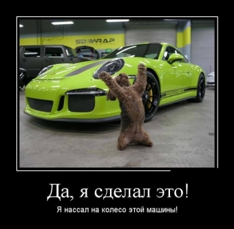 Демотиваторы про автолюбителей