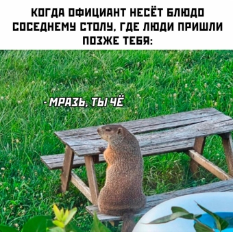 Шуточки и мемы для вас. 12 часть