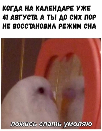 Мемы для настроения 