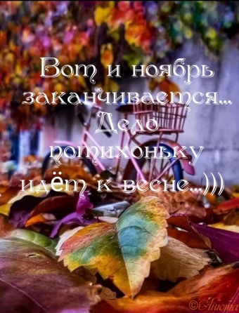 Тысячи открыток и поздравлений. 30 часть.