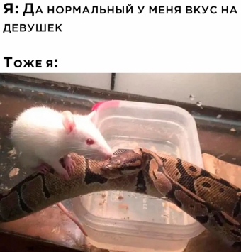 Шуточки и мемы для вас. 11 часть