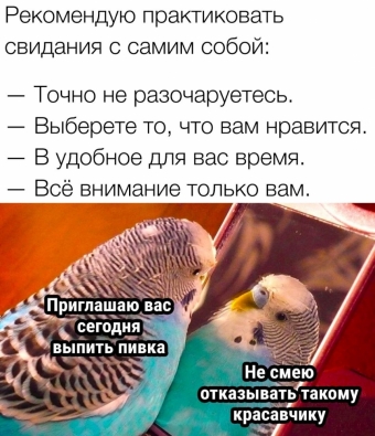 Какие-то мемы. 1 часть 