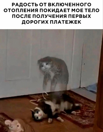 Шуточки и мемы для вас. 5 часть