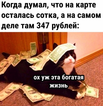 Шуточки и мемы для вас. 9 часть