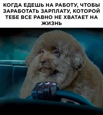 Какие-то мемы. 1 часть 