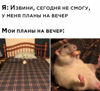 Шуточки и мемы для вас. 5 часть