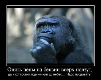 Осторожно, обезьянки - смешные демотиваторы про обезьян