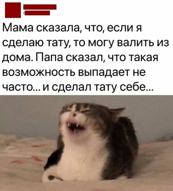 Мэмы. 3 часть 
