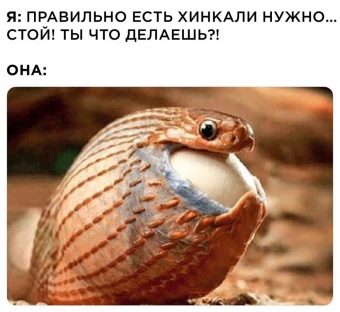 Мэмы. 1 часть