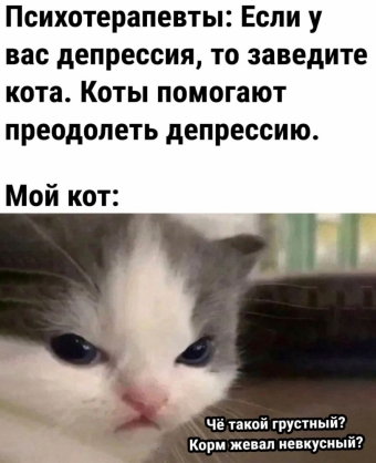 Мэмы. 3 часть 