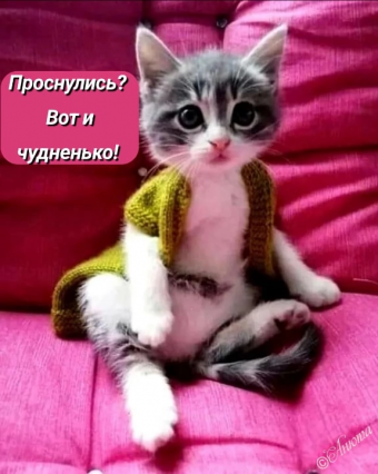 Тысячи открыток и поздравлений. 27 часть.