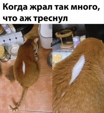 Шуточки и мемы для вас. 5 часть