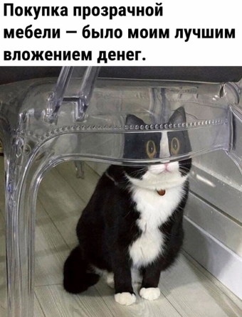 Мэмы. 2 часть