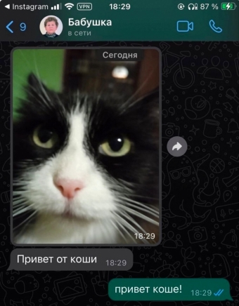 Шуточки и мемы для вас. 6 часть
