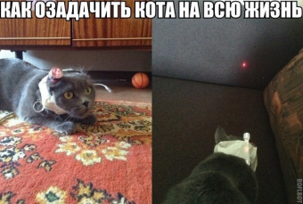Разные мемы. 3 часть