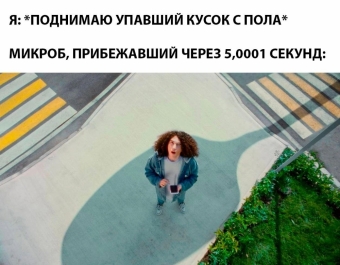 Шуточки и мемы для вас. 8 часть 
