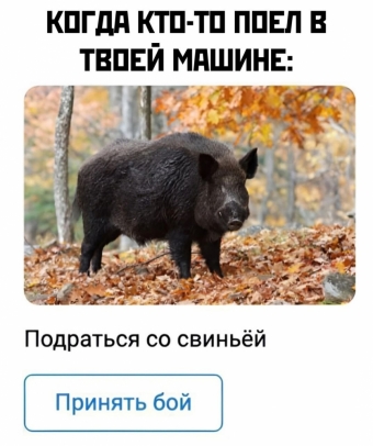 Мэмы. 2 часть