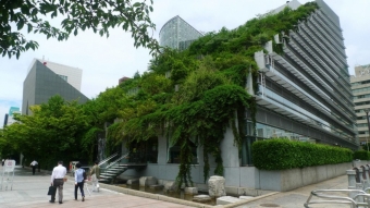 Несколько случаев, когда растения подчеркнули дизайн здания 