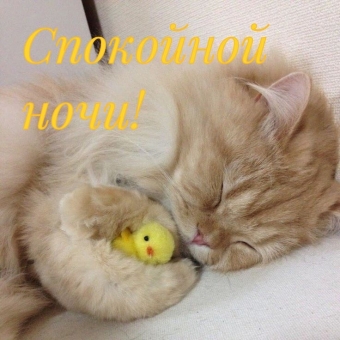 Открытки на тему спать/спокойной ночи 