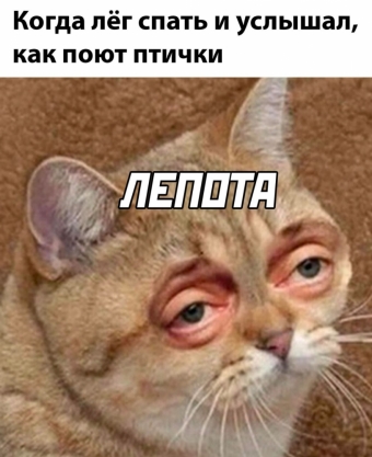 Мэмы. 3 часть 