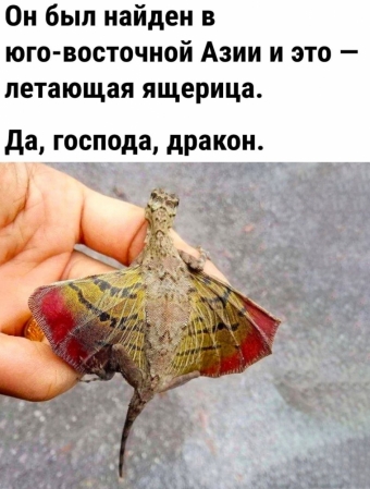 Мэмы. 3 часть 