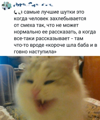 Мэмы. 3 часть 