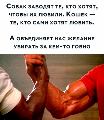 Шуточки и мемы для вас. 4 часть