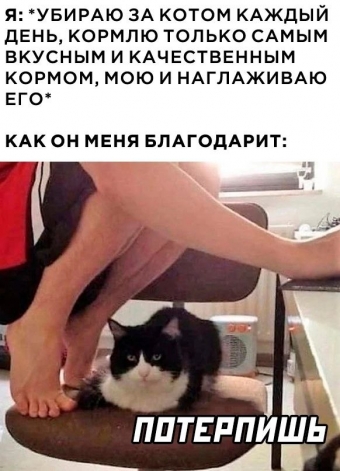 Шуточки и мемы для вас. 6 часть