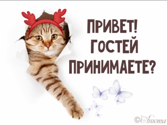 Тысячи открыток и поздравлений. 31 часть.