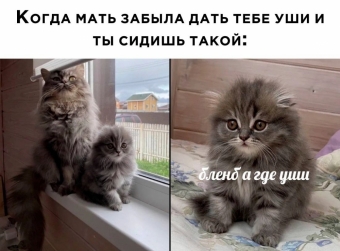 Какие-то мемы. 2 часть 