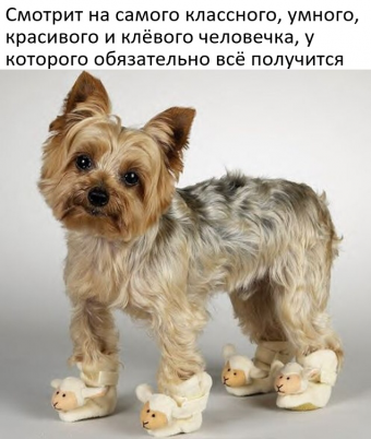 Небольшая подборка мемов для вас