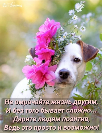 Тысячи открыток и поздравлений. 28 часть.
