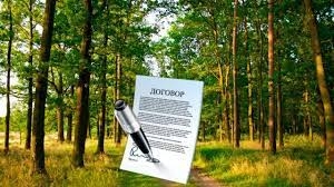Может ли один лесной участок предоставляться в аренду разным лицам?