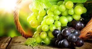 Полезные продукты для печени