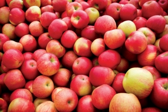 Ценные свойства яблок для здоровья