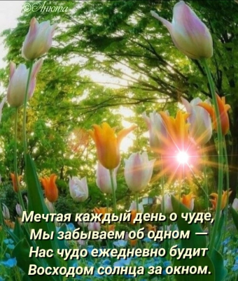 Тысячи открыток и поздравлений. 28 часть.