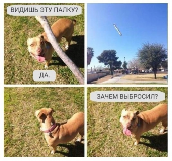 Разные мемы. 1 часть