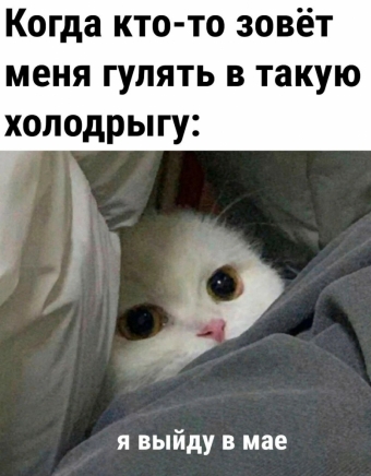 Шуточки и мемы для вас. 9 часть