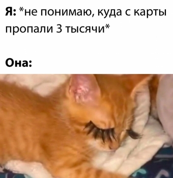 Шуточки и мемы для вас. 8 часть 