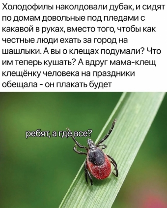 Хорошее настроение - это мемы 
