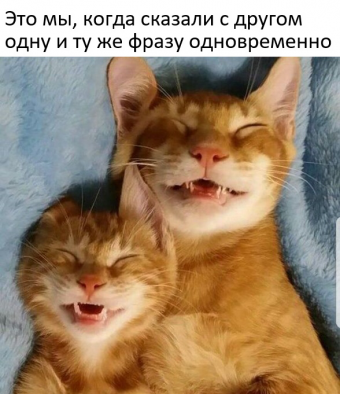 Небольшая подборка мемов для вас