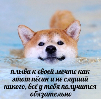 Небольшая подборка мемов для вас
